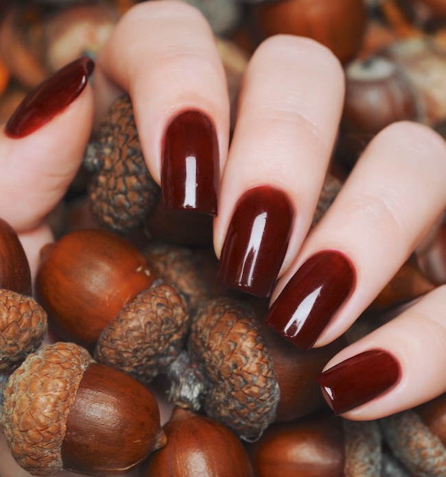 Chestnut burgundy brown nails holding acorns.